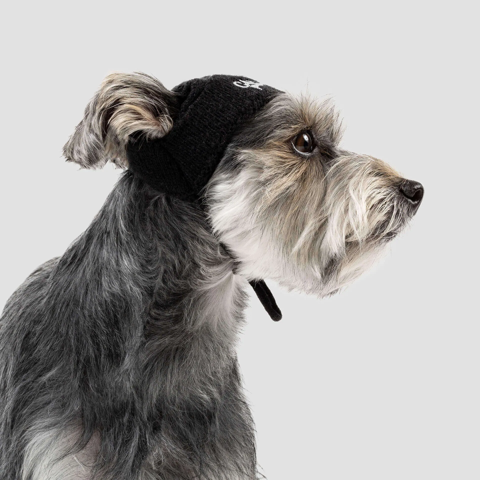 Basic Beanie in Black (FINAL TS SALE)