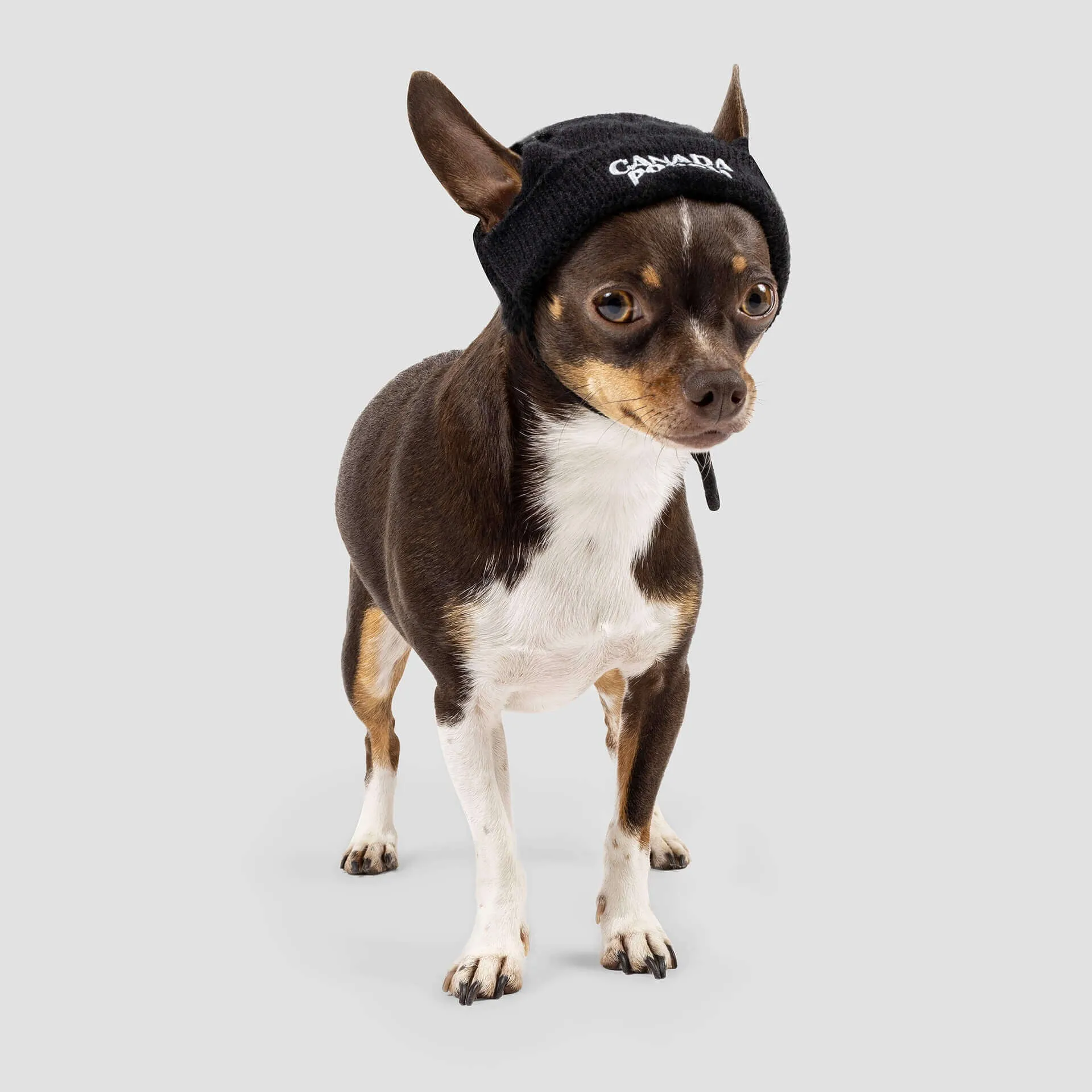 Basic Beanie in Black (FINAL TS SALE)