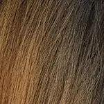 Bobbi Boss MBLF270 Ambra 360 Swiss Lace Wig